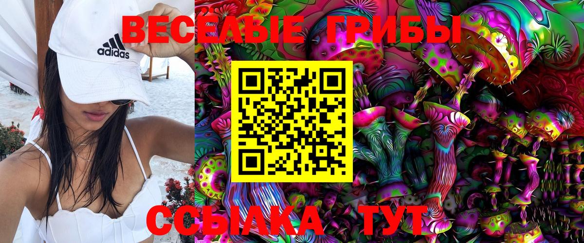 Галлюциногенные грибы прущие грибы  Галлюциногенные грибы Magic Shrooms  Буйнакск  Вход с VPN 